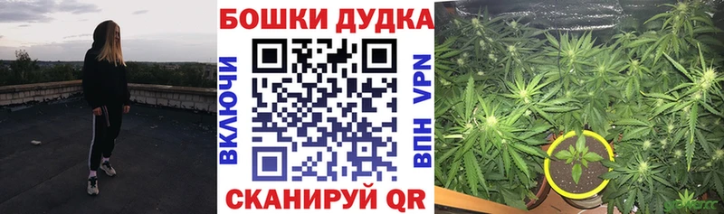 Купить наркотики сайты Покровск АМФ  Гашиш  Галлюциногенные грибы  СК  Каннабис 