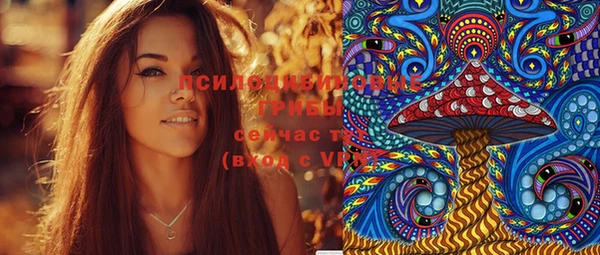 ешки Вуктыл