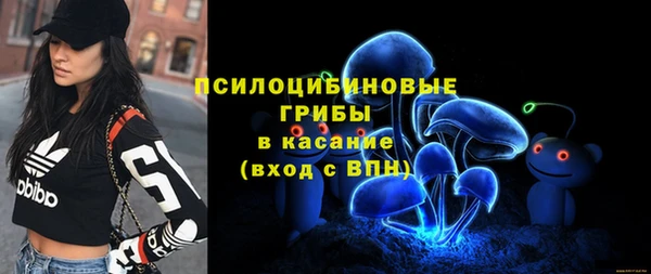 кристаллы Осинники