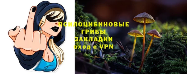 ешки Вуктыл