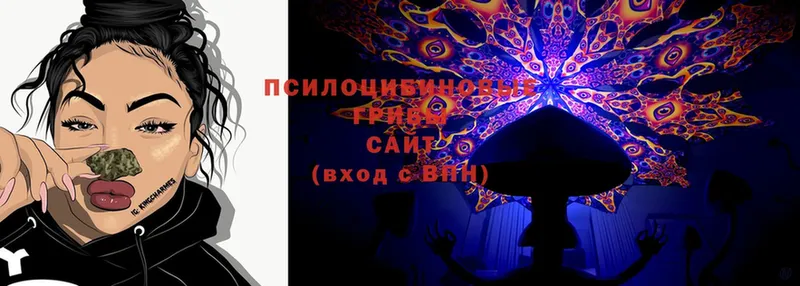 Галлюциногенные грибы MAGIC MUSHROOMS  Покровск 